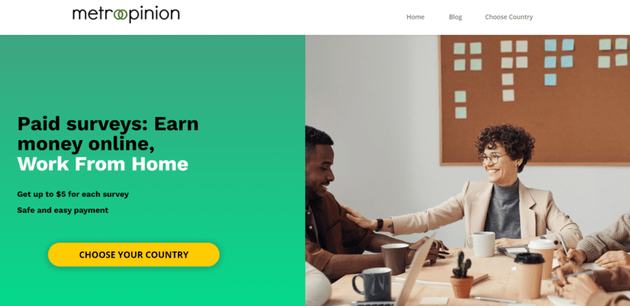 MetroOpinion Review: How Much Can You Earn?